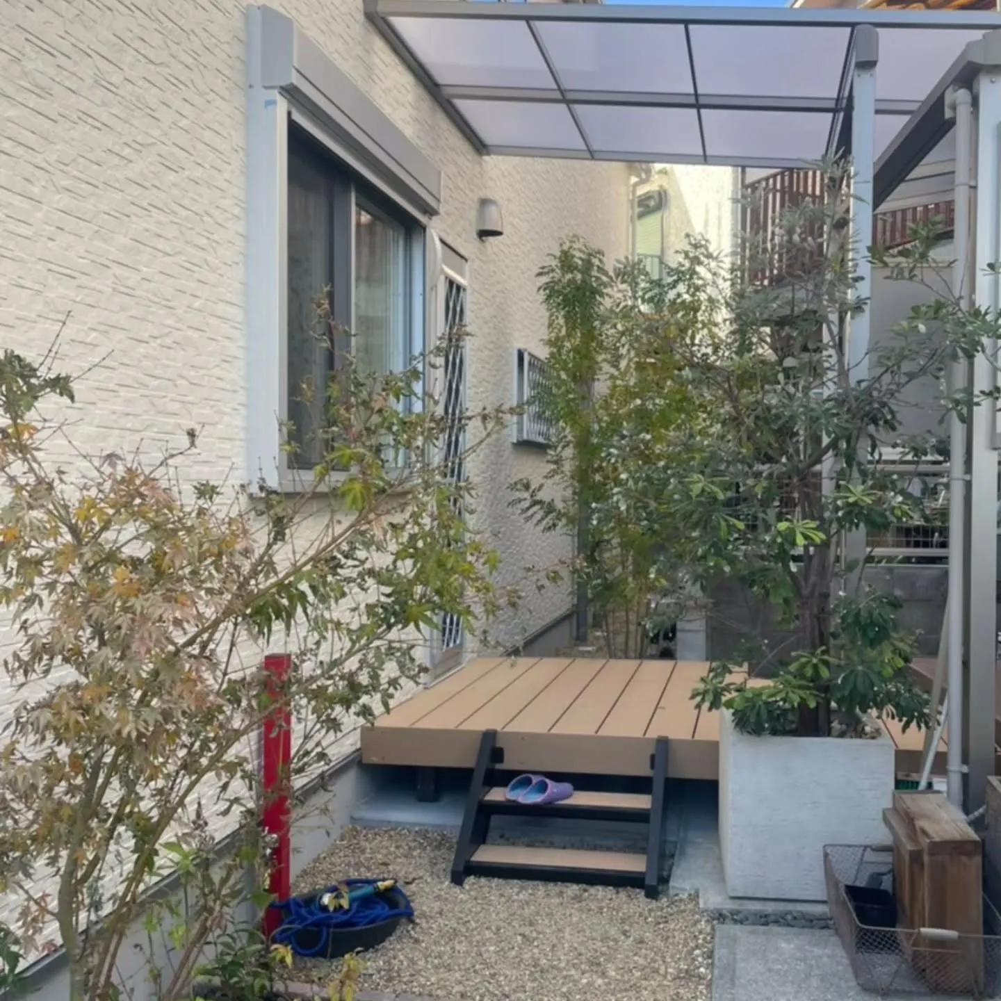 🏡🐾 ドッグガーデン × 植栽 × ミニチュアダックスフンド