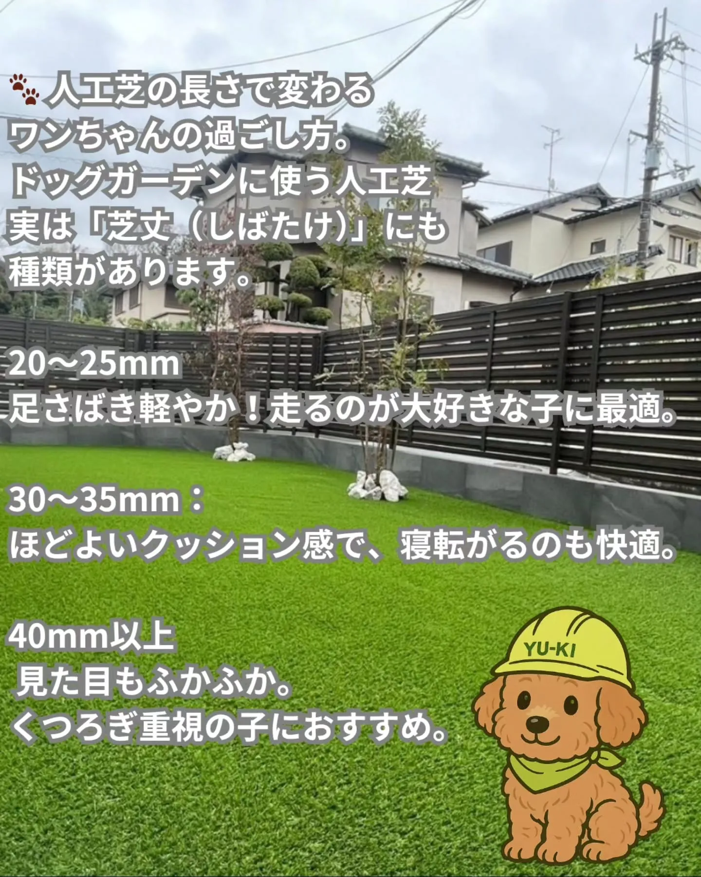 🐕 柴犬にぴったりな庭づくり、実は「芝の長さ」がカギなんです...