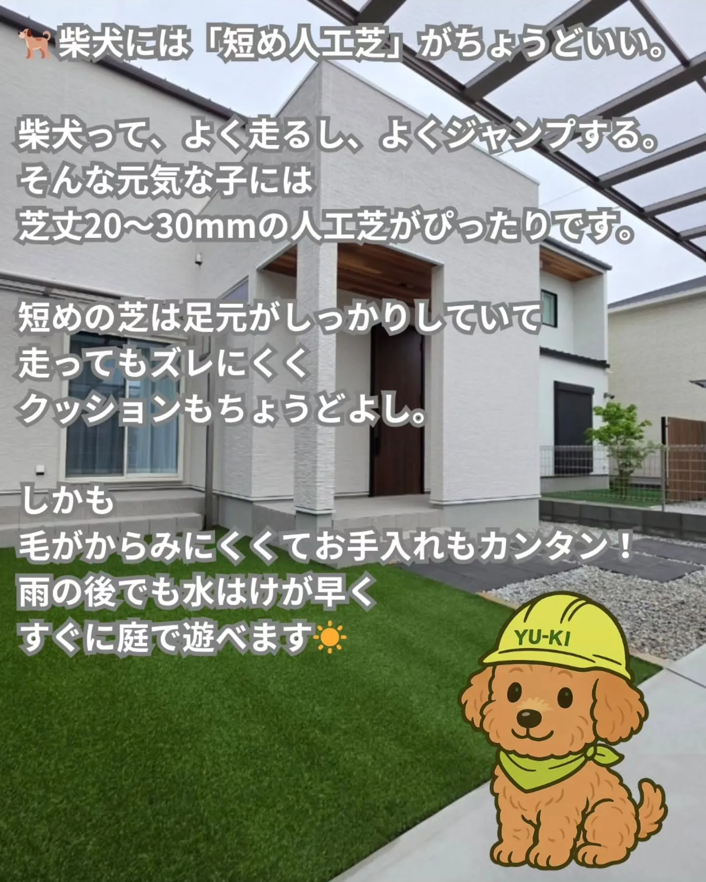 🐕 柴犬にぴったりな庭づくり、実は「芝の長さ」がカギなんです...