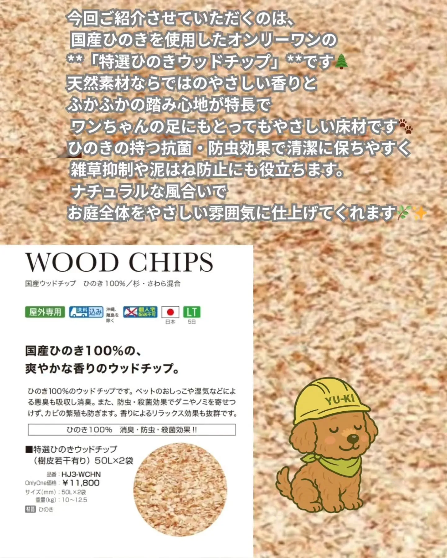 🌲🐾 特選ひのきウッドチップ