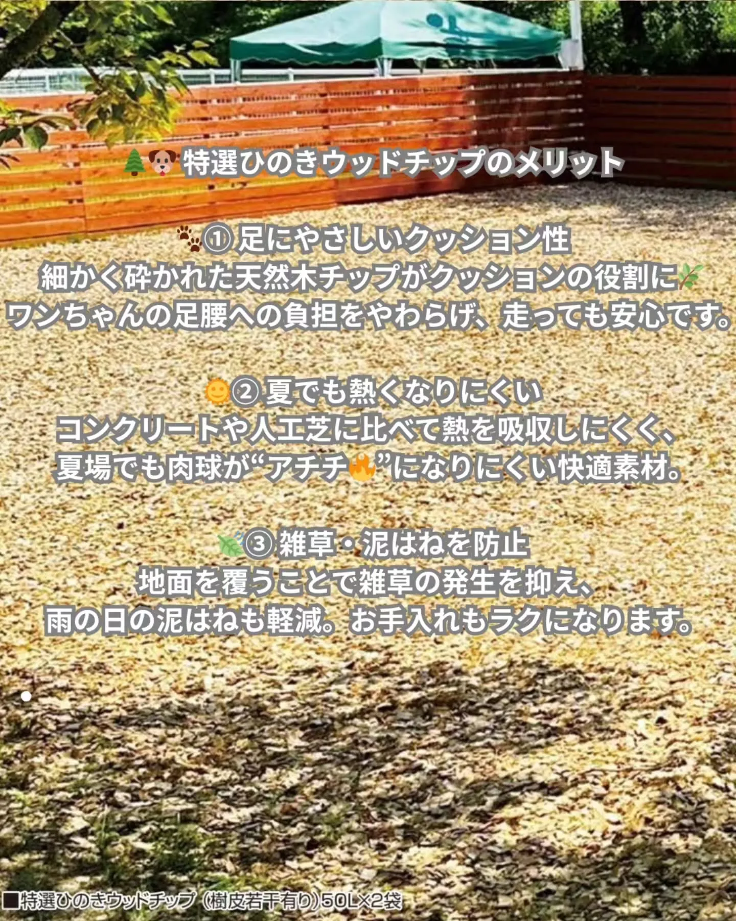 🌲🐾 特選ひのきウッドチップ