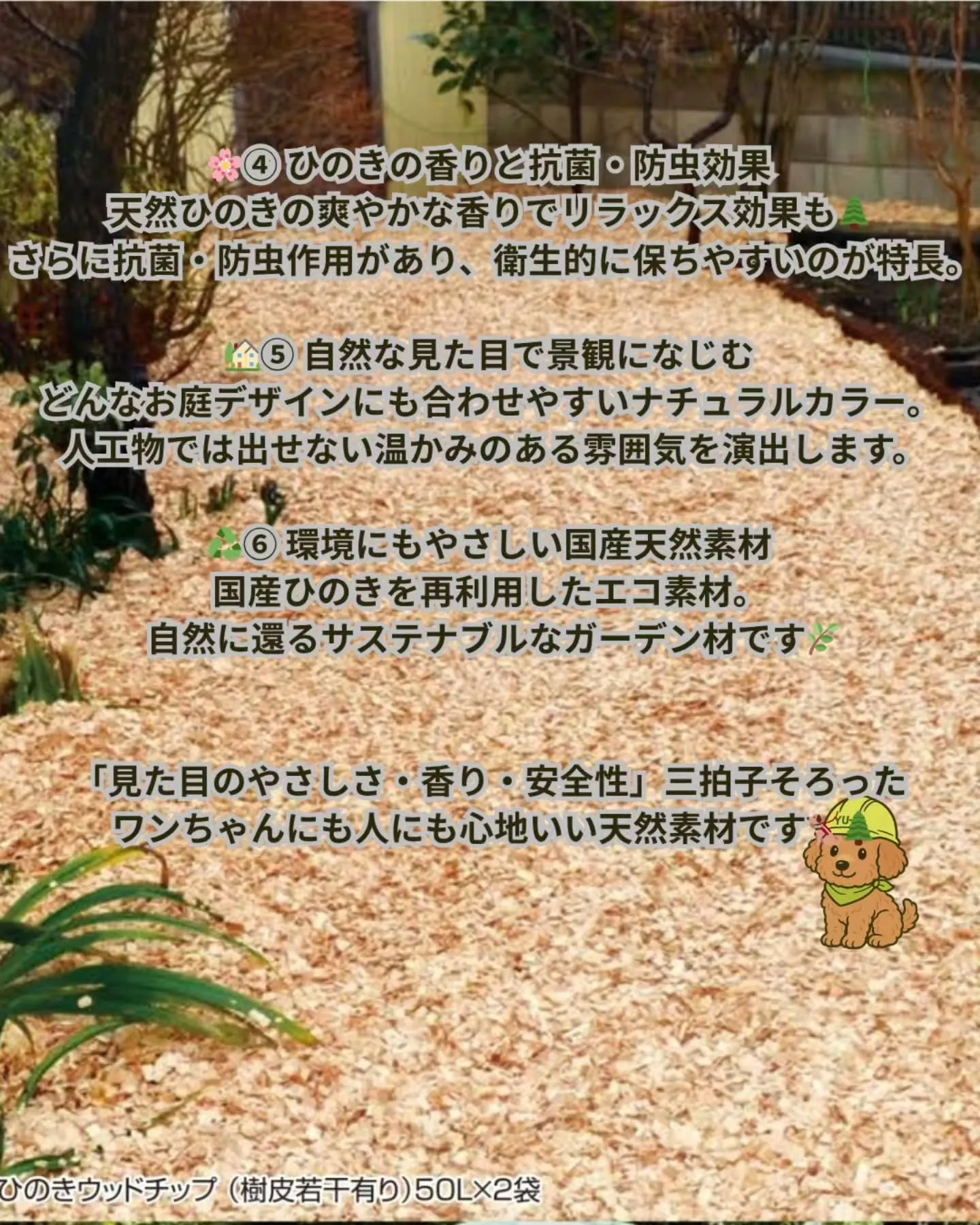 🌲🐾 特選ひのきウッドチップ