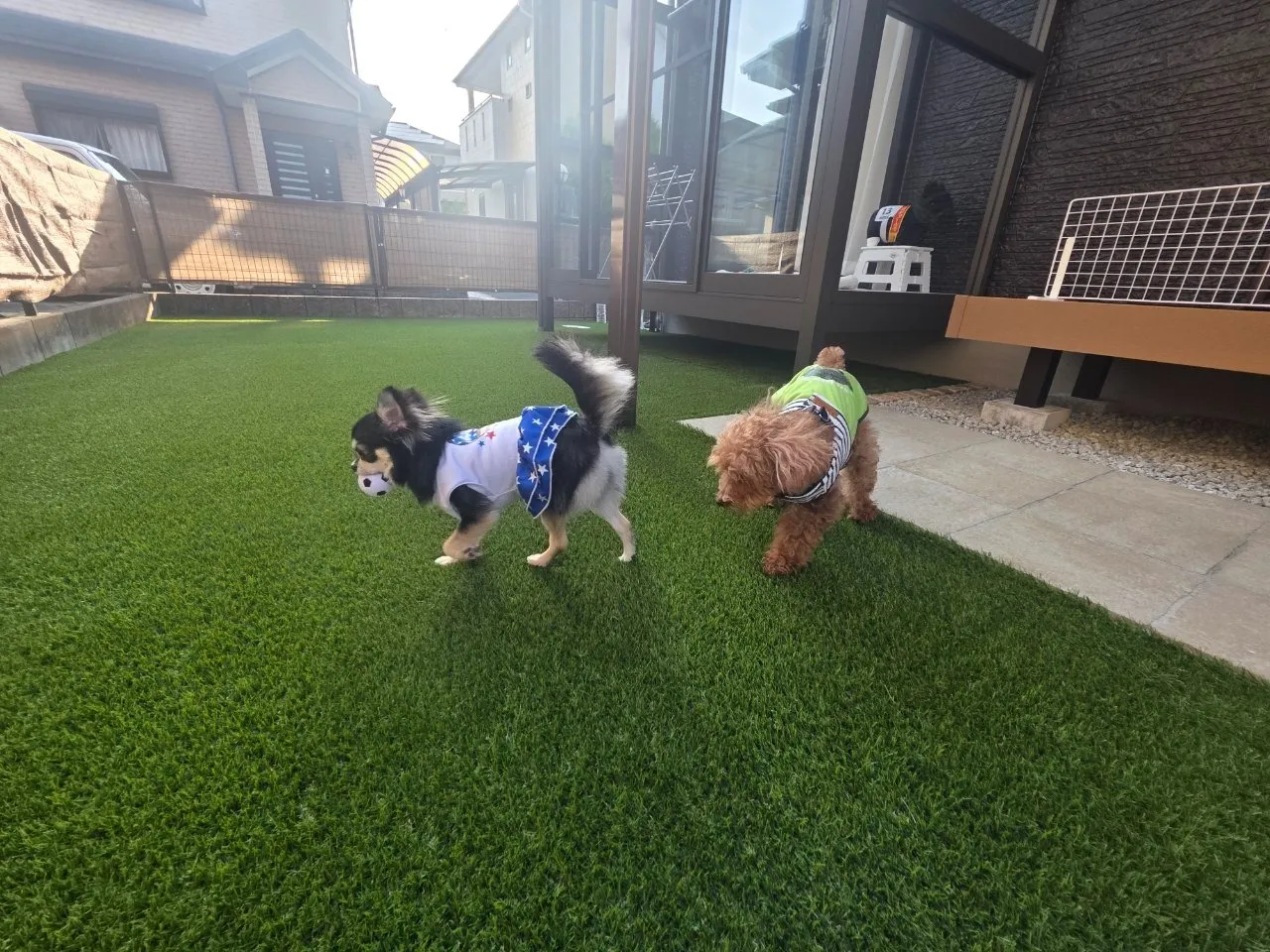 “愛犬と過ごす、サンルーム付きプライベートガーデン🐶”