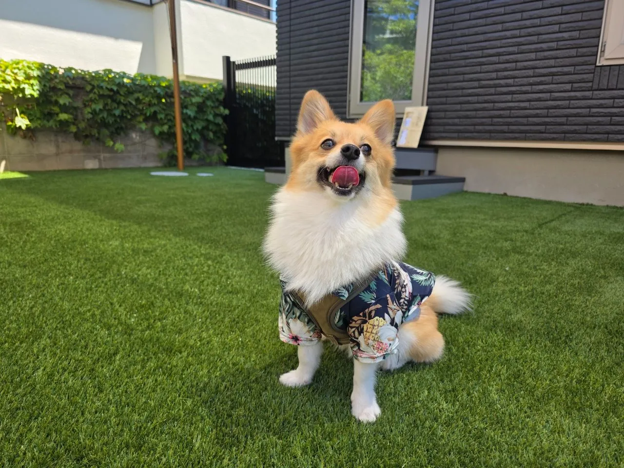 おうち時間がもっと好きになる庭