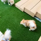 当社の特徴