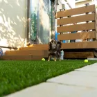 ドッグスペース