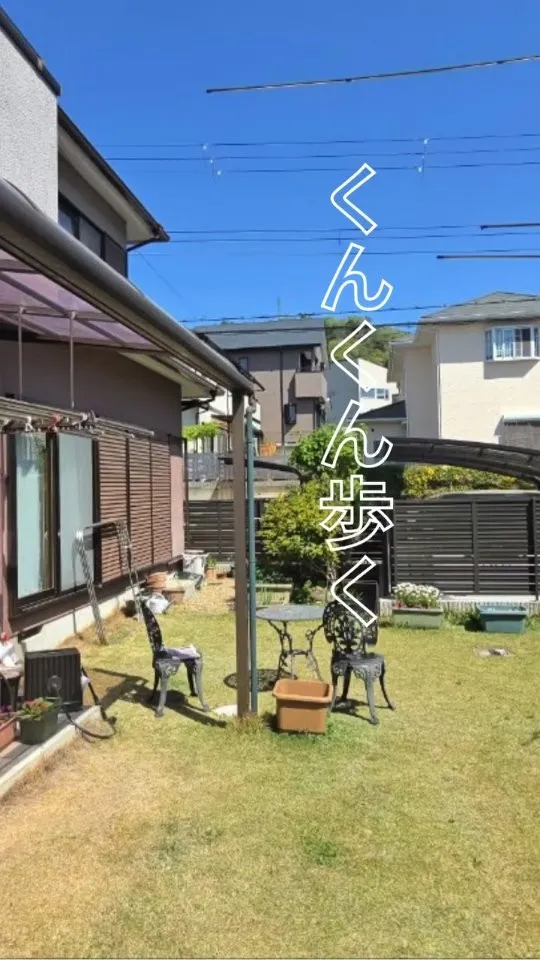 🐾 わんこと過ごす、心地いい庭 🏡