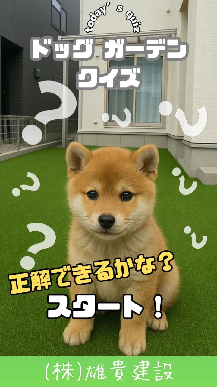 🐾暑い日は…庭でプール開きっ🌈