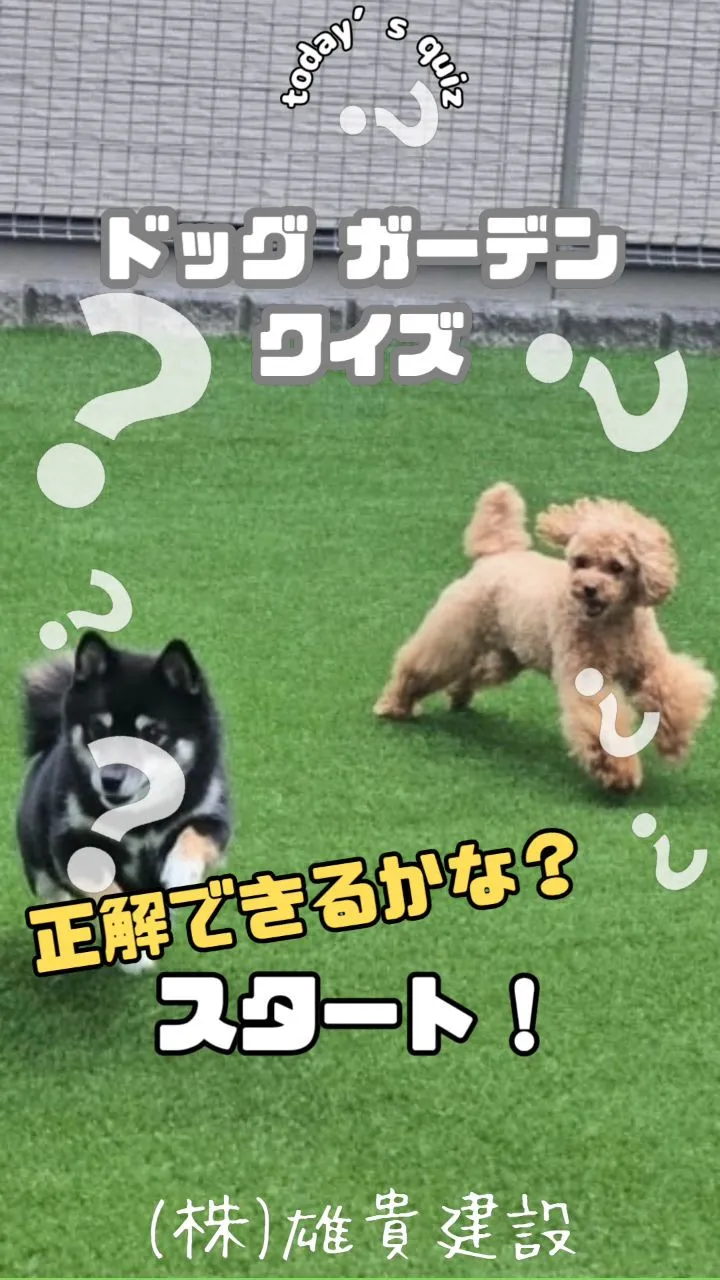 🎬✨ドッグガーデンクイズ ✨🐶