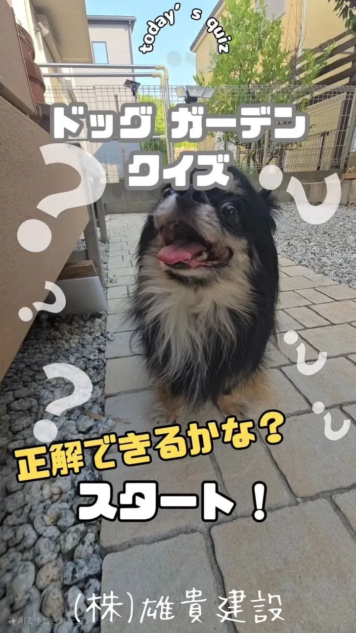 🐶クイズです！🐶