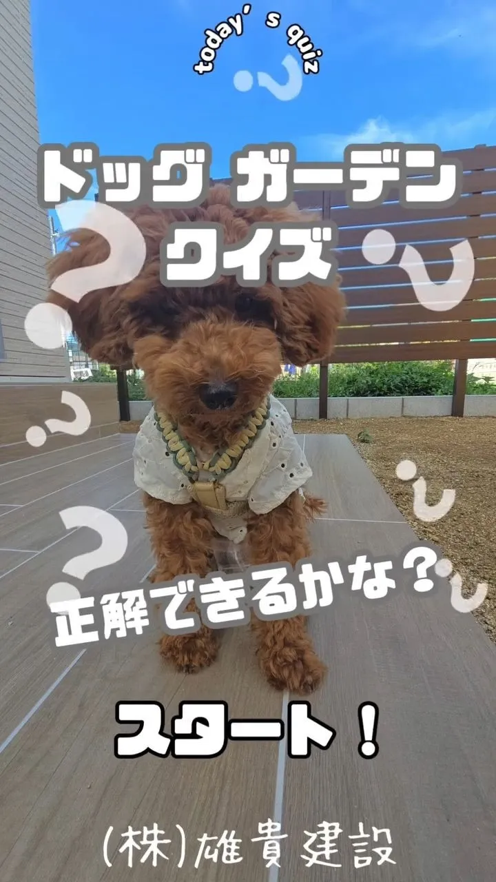 見た目はウッド🌳でも、実はタイル素材☀️� “木のあたたかみ...