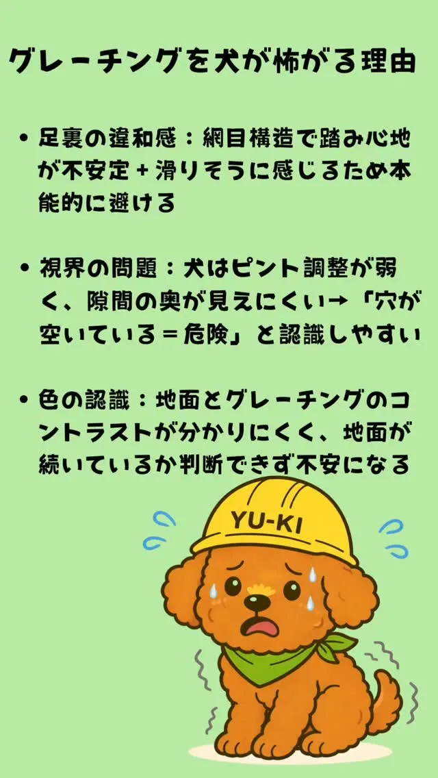 ① 足裏の違和感（肉球の問題）